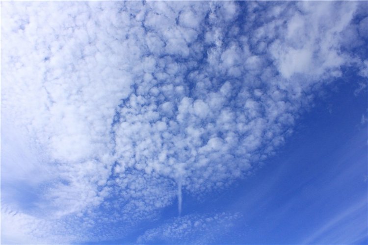 Странница во времени — Антикварные куклы Simon & Halbig (S&H): Симон Хальбиг