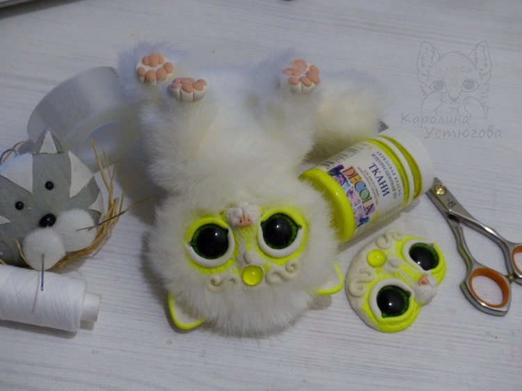 Королевские волшебные коты, породы: Мирис. В кадре и за кадром. Процесс