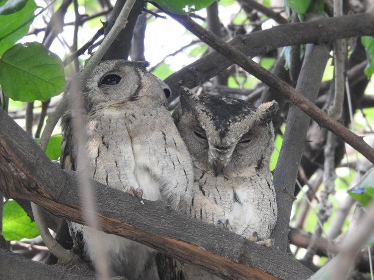 Любителям природы - профессиональные фотографии (выпуск 4)