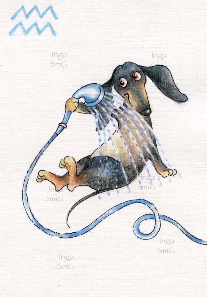 Предновогодние денёчки! Улыбнёмся вместе! Смешные таксы Инги smG