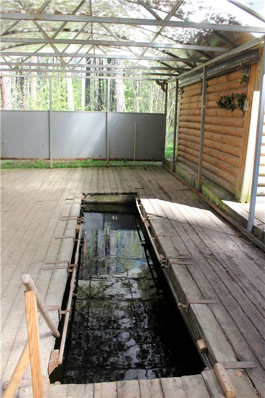 Путешествие Софи в Старицу. Lati HoneyBee New Mystic Sophie (фото 9)