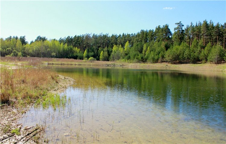 Долгая дорога к Волге. Custom Blythe Doll UFO Go Go Takara (фото 8)