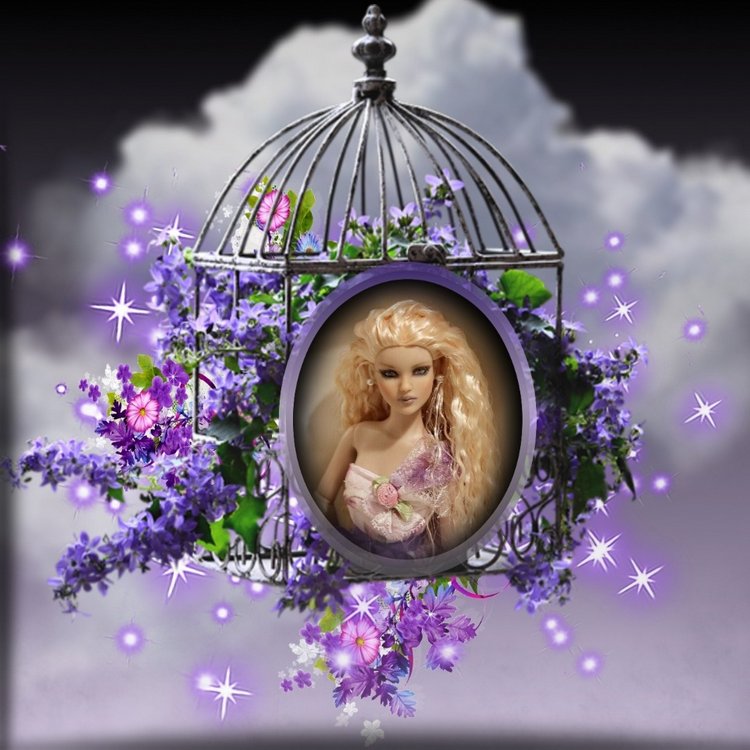 Мои Тоннерки. Фотозарисовки