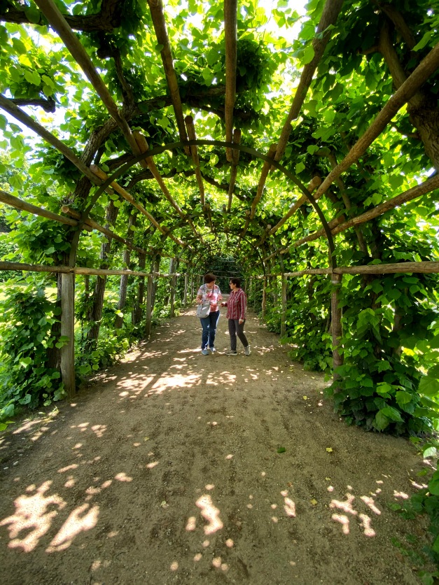 Галопом по Европам... 1 Часть