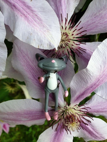 Лягушонок превращается в... мышонка