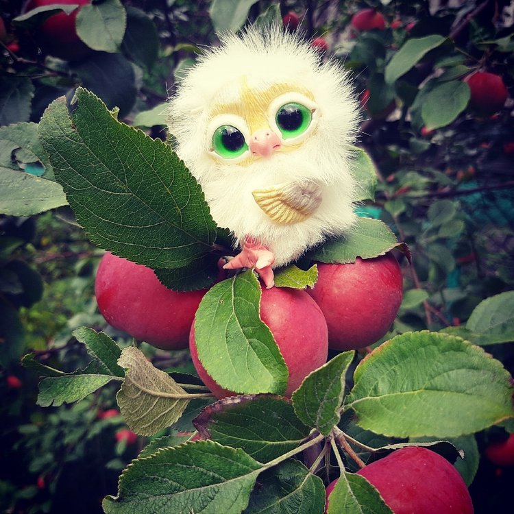 Последние денечки лета.... Совенок Желточек, дача и другие дачные жители (фото 8)