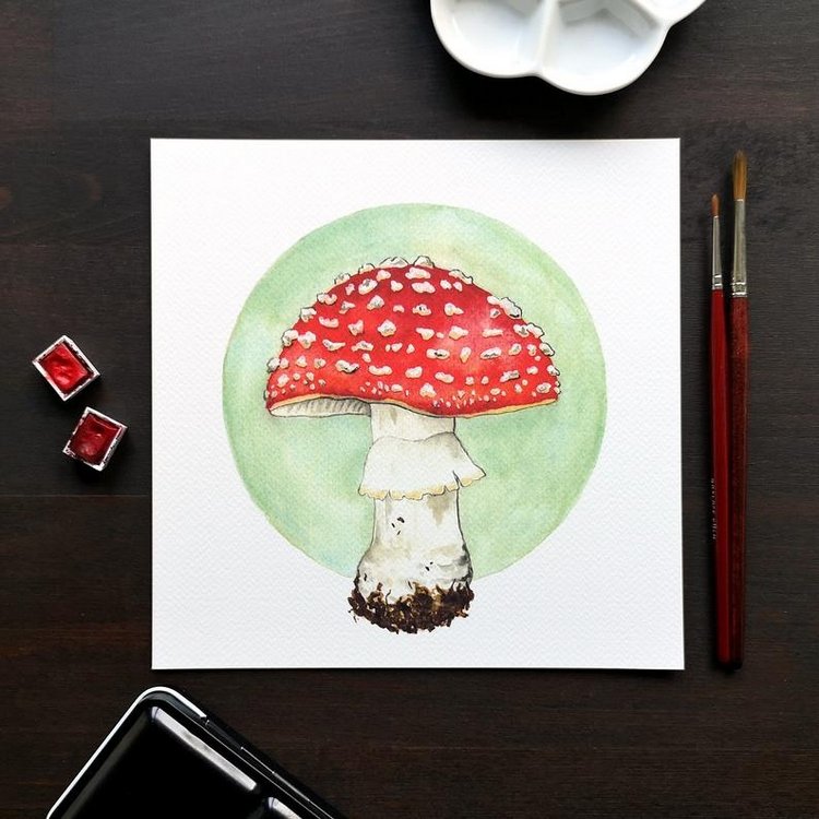 SnailMaidenStudio - Акварельные иллюстрации маленьких живых существ