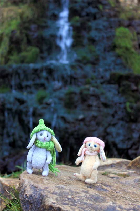 Братья Зайкины на Водопаде (фото 3)