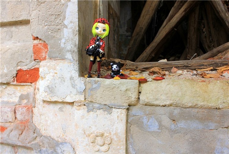 Путешествие Dal Hangry в Грузины