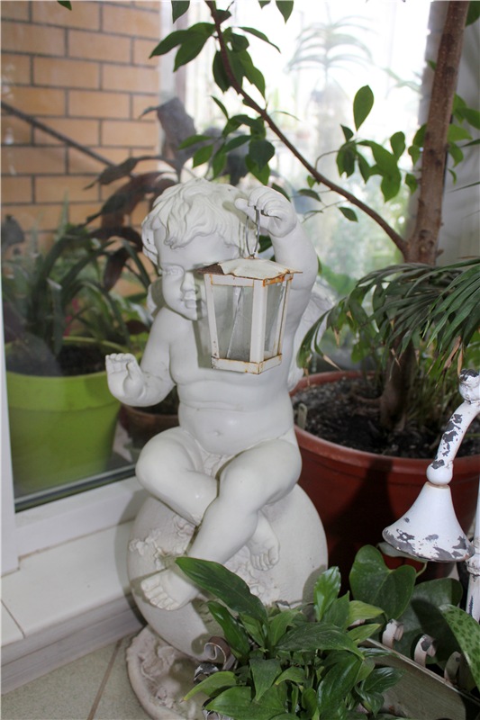 Тверской Ботанический Сад