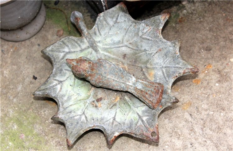 Тверской Ботанический Сад, продолжение | Бэйбики Тверской Ботанический Сад, продолжение (фото 7)