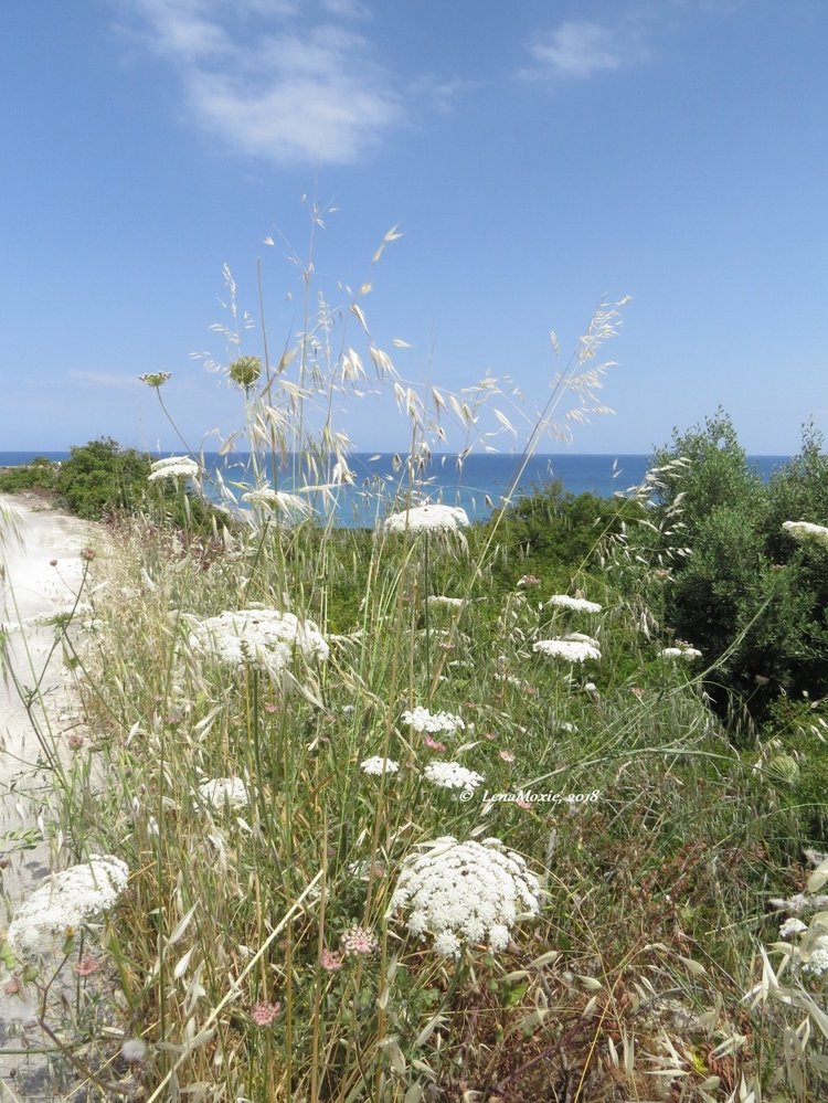 Kidz' тур. Нико на Крите. Аниссарас