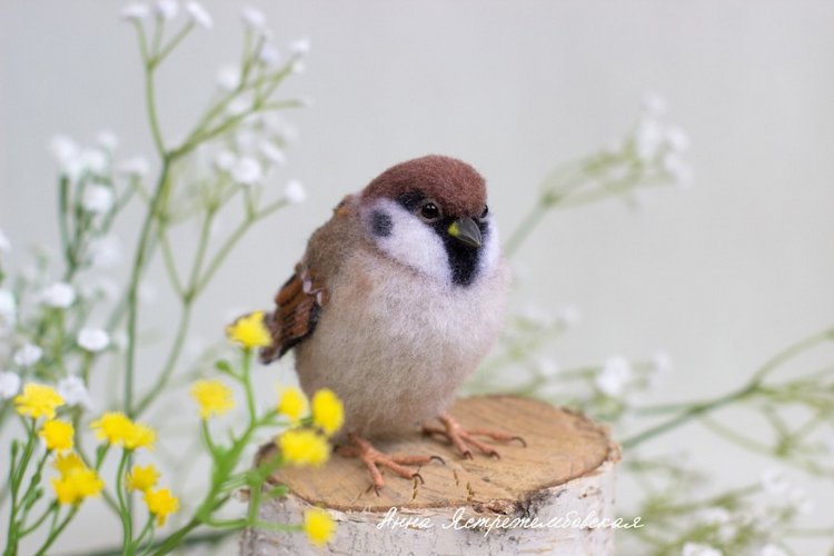 Воробушки — Валяные игрушки из шерсти: сухое валяние (фото 4)