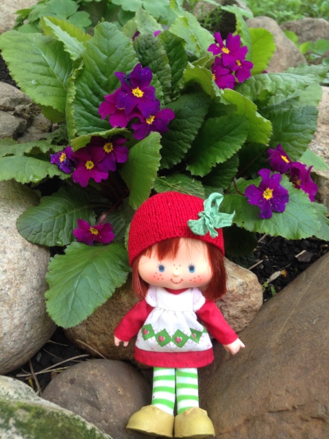 Весенне-земляничное настроение (фото 8)