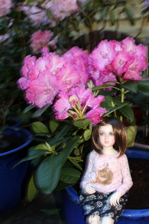 Вечерний сад. Розочка в пижамке (фото 5)