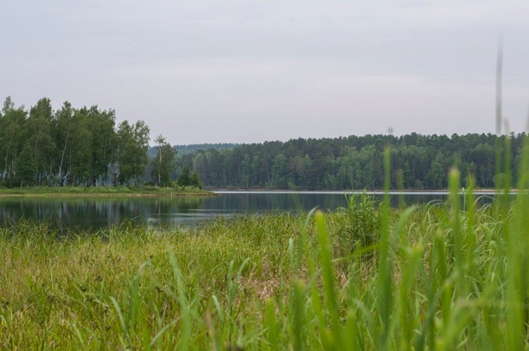 Лето, травка и "дикий" купальник