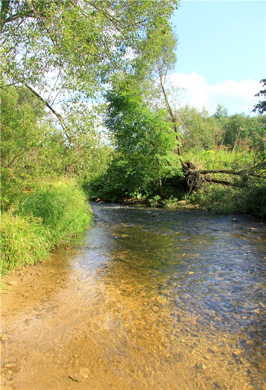 Старицкая Швейцария. Путешествие Мии. Minifee Miyu FairlyLand | Бэйбики Старицкая Швейцария. Путешествие Мии. Minifee Miyu FairlyLand