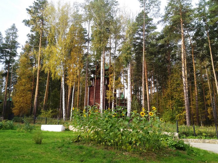 Тайна моего имени. Часть пятая. Бабушка права – не все то золото, что блестит (продолжение)