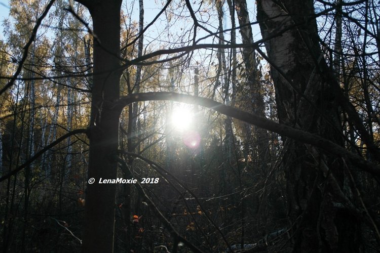 Прощание с теплой Осенью — Куклы Kidz'n'Cats (Соня Хартман): шарнирные 46 см