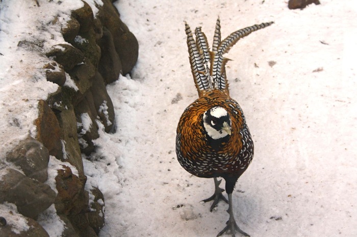 Московские каникулы. Часть 1