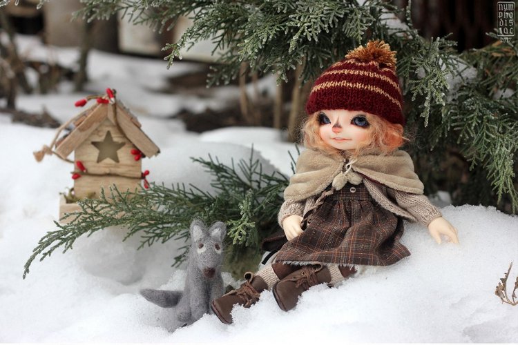 Зимние прогулки с Корицей, Мией и Волчком (фото 2)