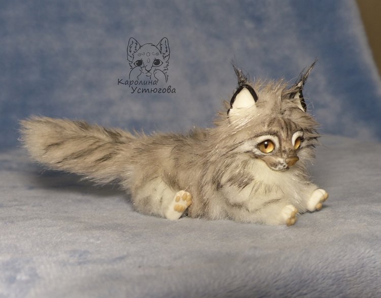 Мейн-ку́н, миниатюра. Серебристый окрас (фото 10)