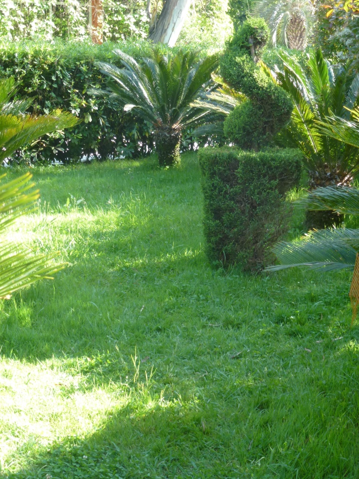 Сочи-Адлер: Южное Взморье - виртуальное путешествие по территории санатория