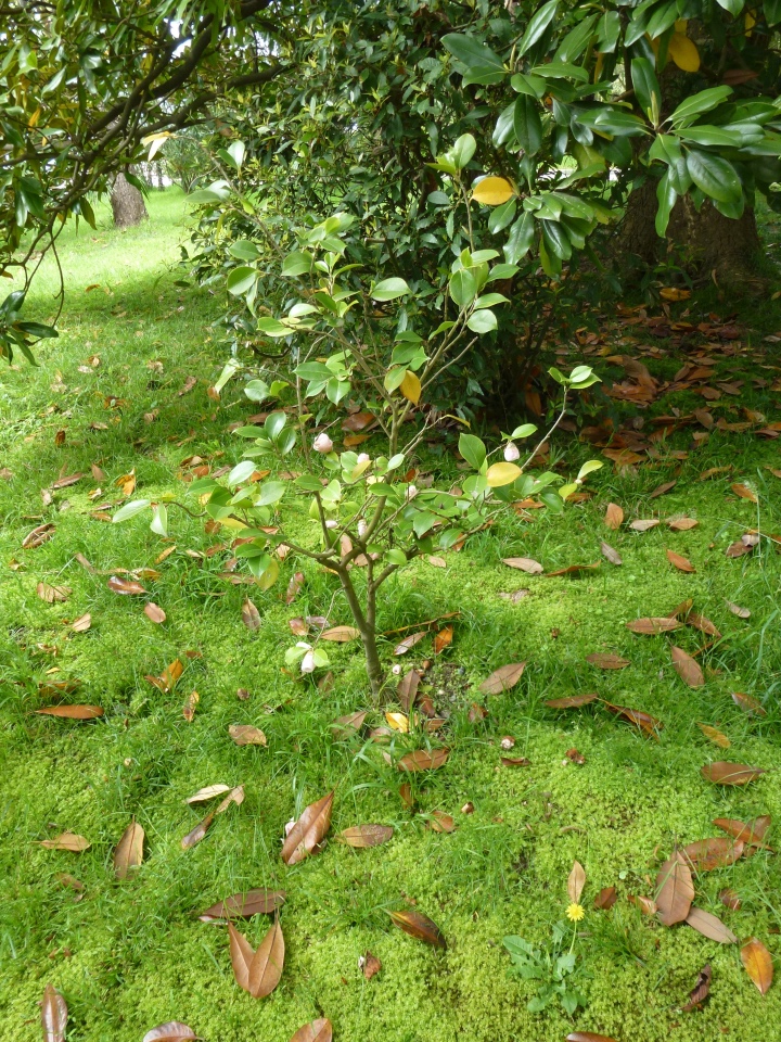 Сочи-Адлер: Южное Взморье - Мои любимые куколки на отдыхе