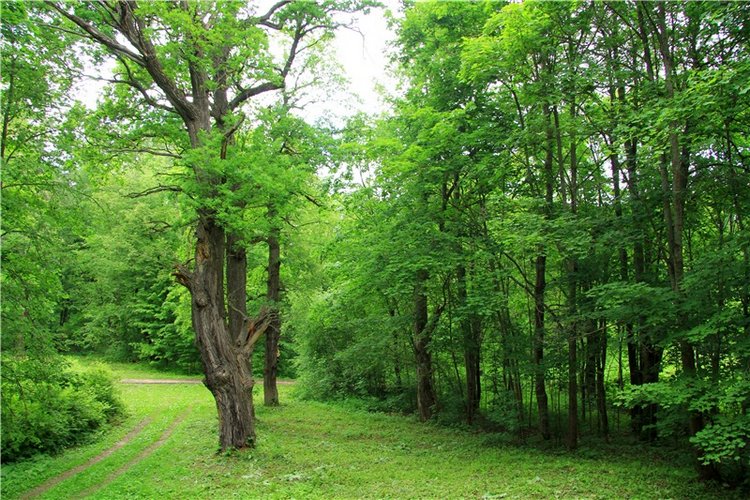 Путешествие с Бенни — Культура