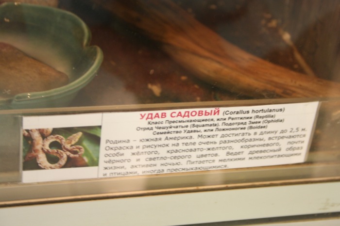 Псков. Эколого-биологический центр. Часть 1 (фото 9)