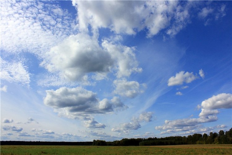 Странница во времени — Антикварные куклы Simon & Halbig (S&H): Симон Хальбиг (фото 3)