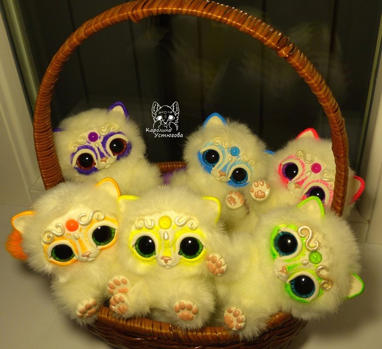 Королевские волшебные коты, породы: Мирис. В кадре и за кадром. Процесс (фото 4)