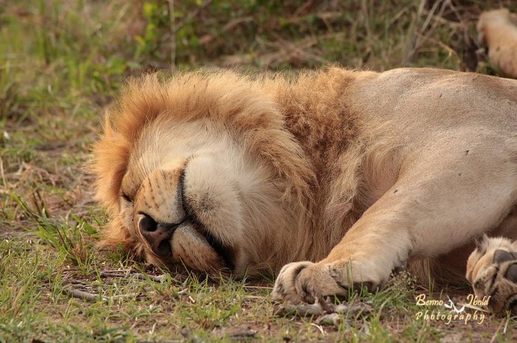 Любителям природы - профессиональные фотографии (выпуск 4)