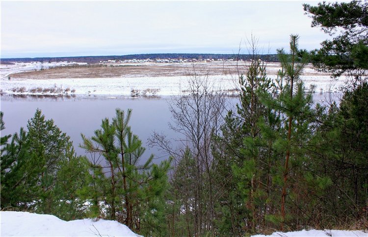 Бейли и Дий. Mini Bailey SK от Meadow dolls (фото 8)