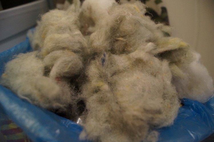 Субботняя выписка из кукольной лечебницы