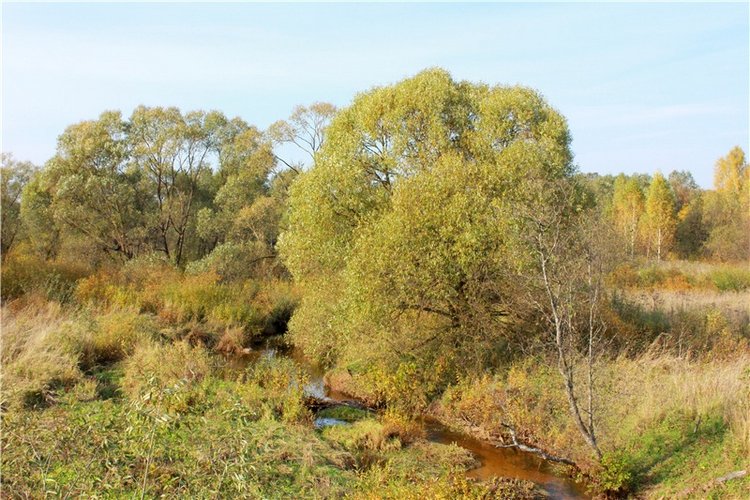 Путешествие Dal Hangry в Грузины, продолжение