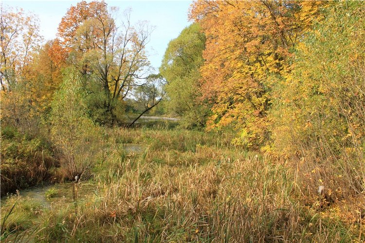 Путешествие Dal Hangry в Грузины