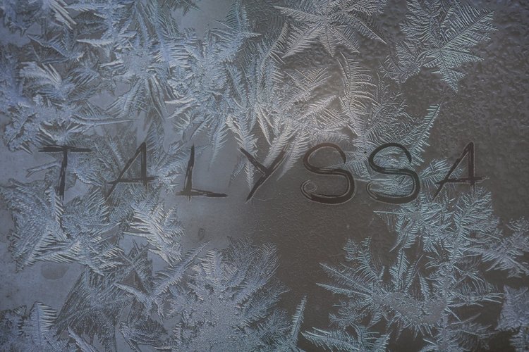 Поздравления С Рождеством и Наступающим Новым годом от Мисси и Талиссы