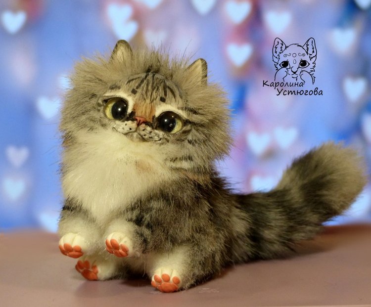 Котята Сибирской породы Табби и Мраморный биколор