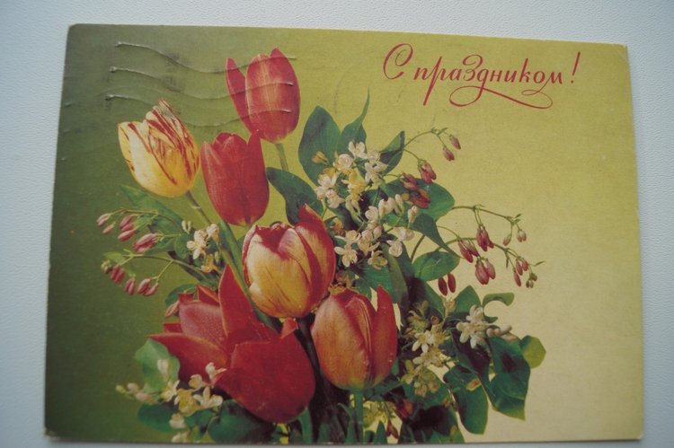 Советские открытки на каждый праздник. Годовой цикл. 23 февраля