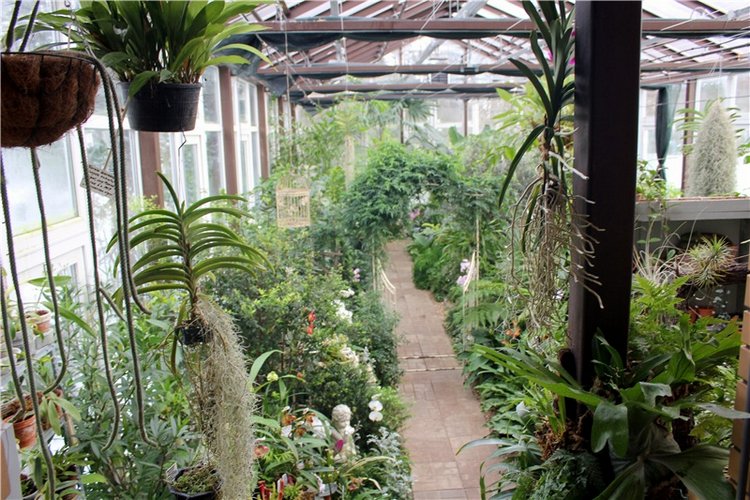 Тверской Ботанический Сад