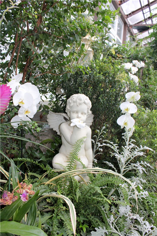 Тверской Ботанический Сад, продолжение | Бэйбики Тверской Ботанический Сад, продолжение