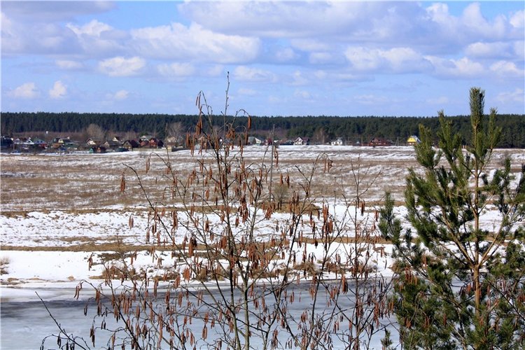 Весна в "Саду Камней" | Бэйбики Весна в "Саду Камней" — Куклы Meadow dolls (Медовушки): BJD (БЖД) (фото 9)