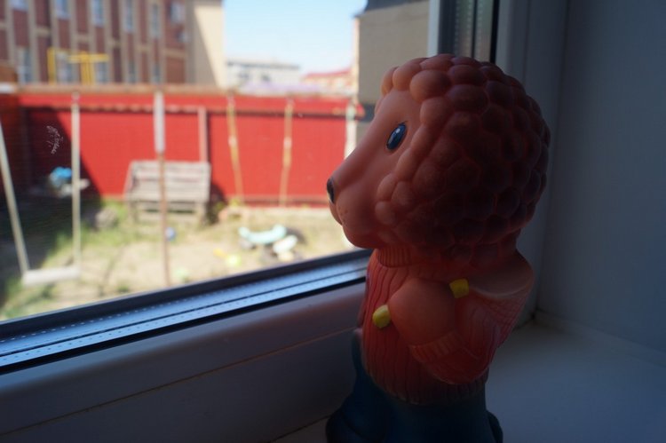 Первая июньская выписка. Вы ждали барашка? Он почти здоров