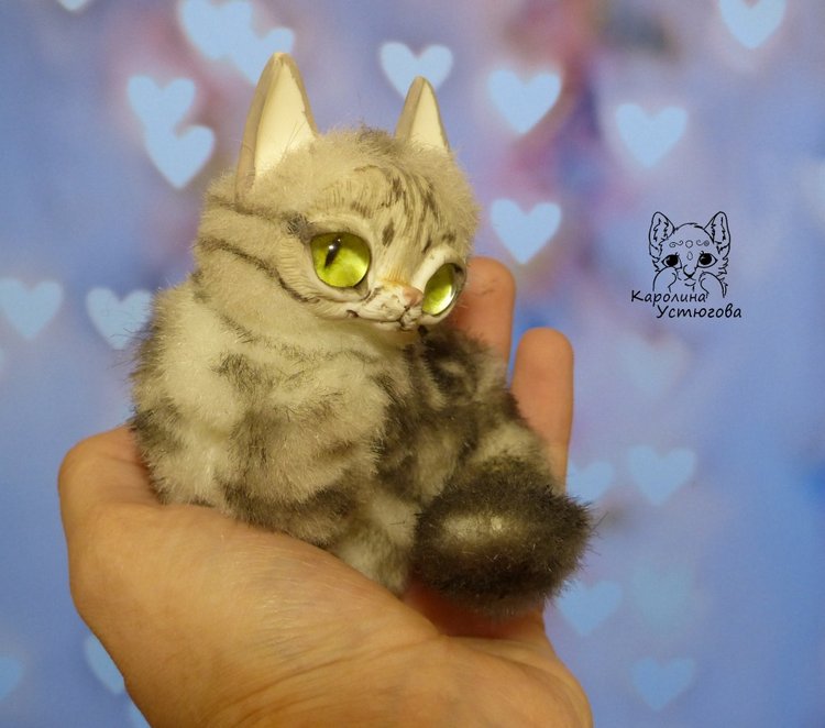 Американские короткошерстные котята (фото 10)