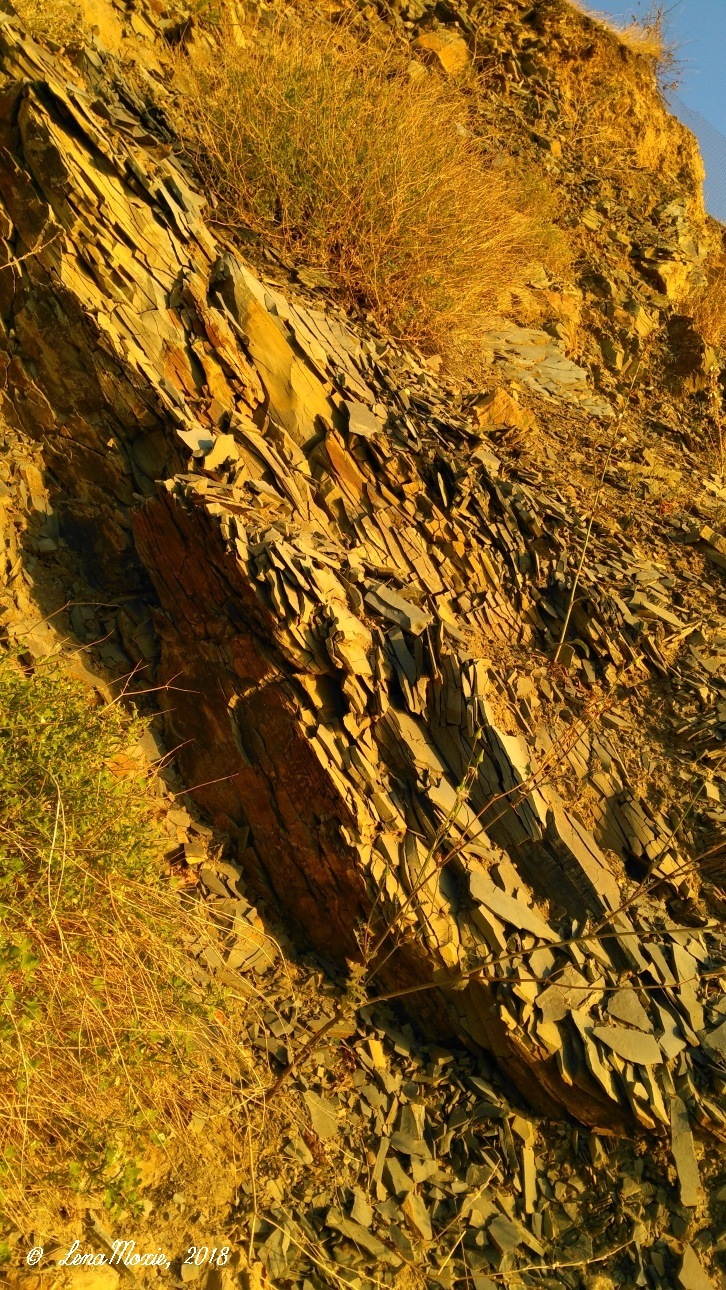 Kidz' тур. Юлино лето — Куклы Kidz'n'Cats (Соня Хартман): шарнирные 46 см