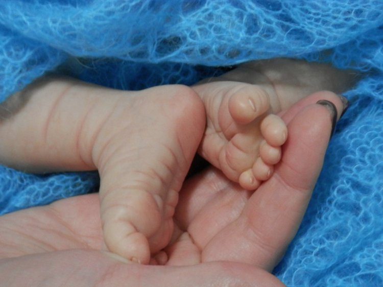 Хомячок Сили. Кукла реборн Шутовой Анны