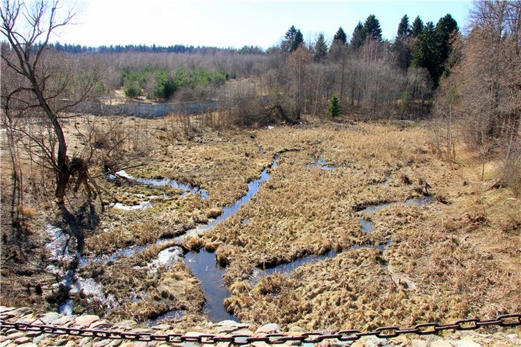Апрельский день в Василёво, заключительная часть