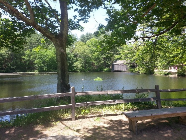 Прокатимся на машине времени? Поселение Старбридж. Новая Англия. 1830 год. Часть вторая