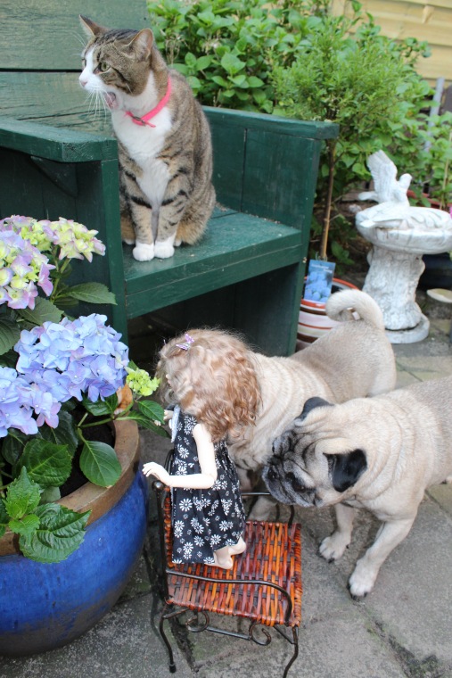 Поиск образа для Розочки. Знакомство с садом